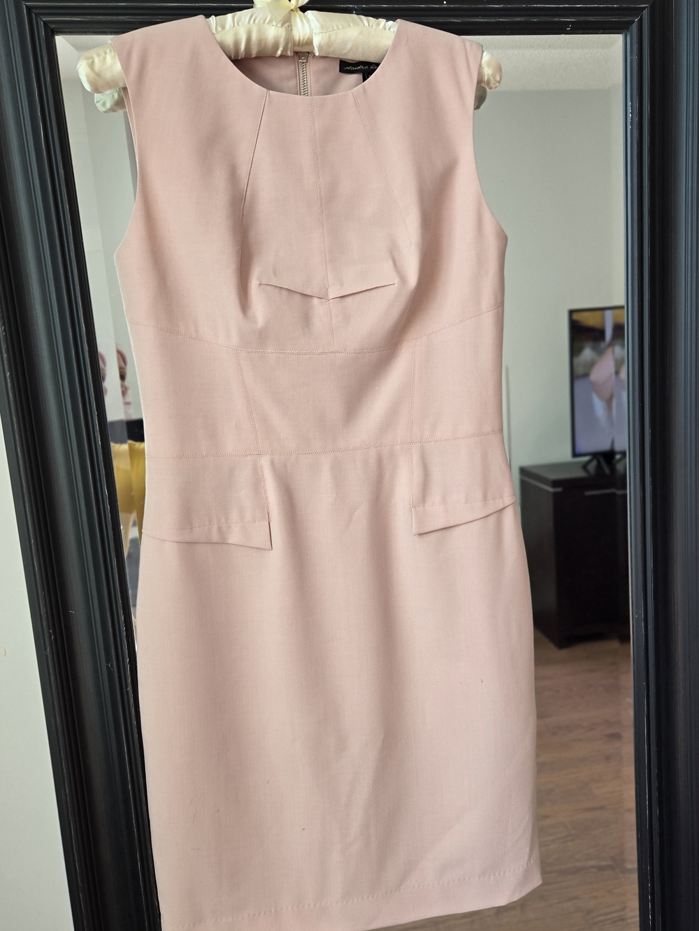 SANDRA ANGELOZZI Sleeveless Blush Pink Midi Sheath Dress Size 8